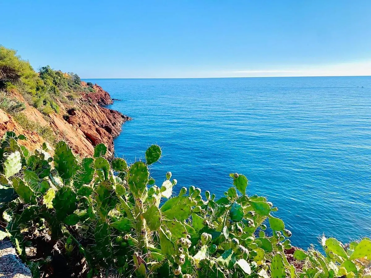 Superbe 2 Pieces - 4 Couchages - Clim - Parking - Piscine Residence Théoule-sur-Mer